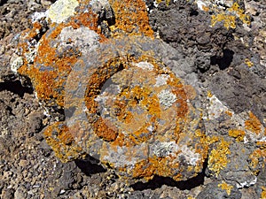 lava tube with climbing tops