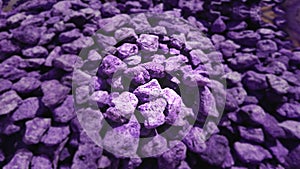Lavanda Purple Abstracts Blurs Shapes Backgrounds