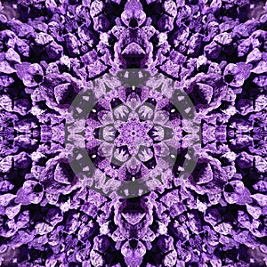 Lavanda Purple Abstracts Blurs Shapes Backgrounds