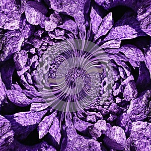 Lavanda Purple Abstracts Blurs Shapes Backgrounds