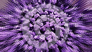 Lavanda Purple Abstracts Blurs Shapes Backgrounds photo