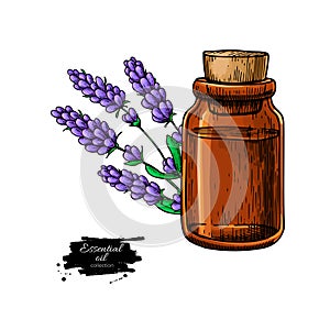 Lavander essential oil bottle and bunch of flowers hand drawn ve photo