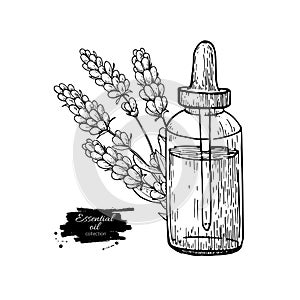 Lavander essential oil bottle and bunch of flowers hand drawn vector illustration. Isolated drawing for Aromatherapy