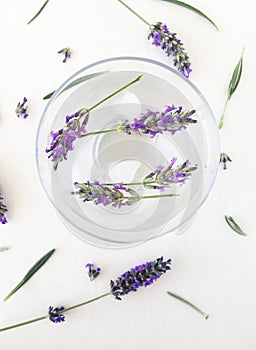 Lavander water infused relax and tranquility