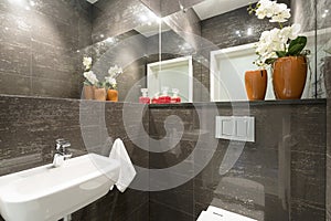 Lavatory in modern house