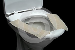 Lavatory pan with toilet paper photo