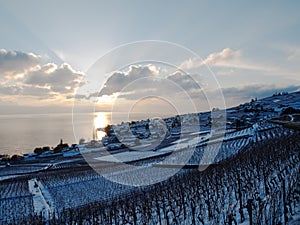 Lavaux Covered In Snow During Sunset