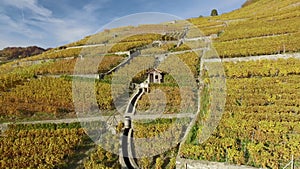 Lavaux - famous vineyard terraces in Switzerland