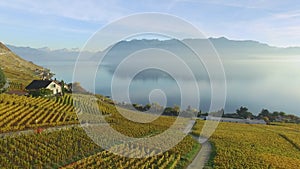 Lavaux - famous vineyard terraces in Switzerland