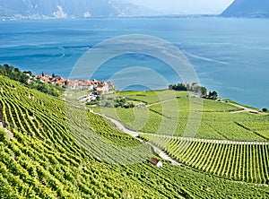 Lavaux region