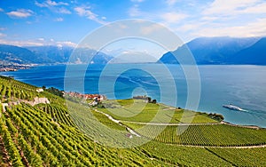 Lavaux region