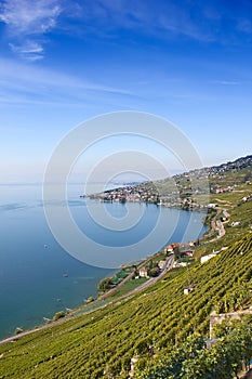 Lavaux region