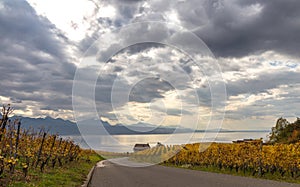 Lavaux region on autumn 1