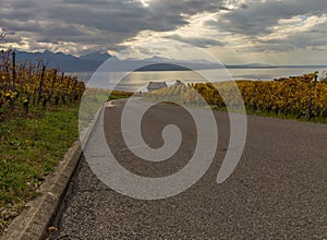 Lavaux region on autumn