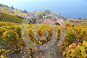 Lavaux region, Switzerland