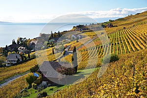 Lavaux region, Switzerland