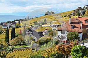 Lavaux region, Switzerland