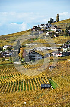 Lavaux region, Switzerland