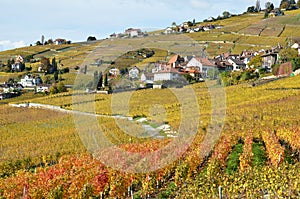 Lavaux region, Switzerland