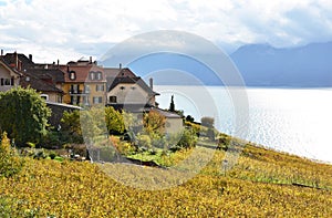 Lavaux region, Switzerland