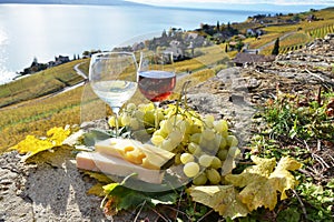 Lavaux region, Switzerland