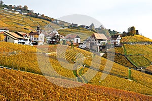 Lavaux region, Switzerland