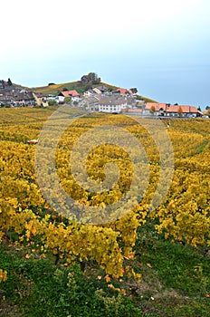 Lavaux region, Switzerland