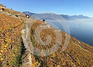 Lavaux region, Switzerland