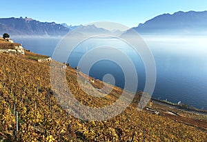 Lavaux region, Switzerland