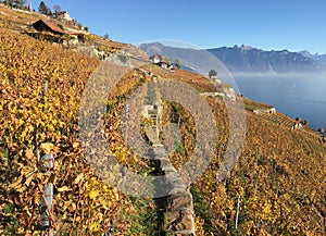 Lavaux region, Switzerland