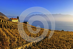 Lavaux region, Vaud, Switzerland