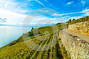 Lavaux, Switzerland: Lake Geneva and the Swiss Alps landscape seen from Lavaux vineyard tarraces in Canton of Vaud