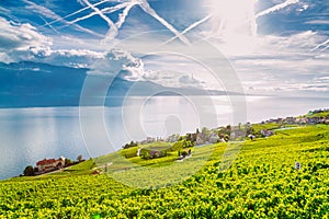 Lavaux, Switzerland: Lake Geneva and the Swiss Alps landscape seen from Lavaux vineyard tarraces in Canton of Vaud