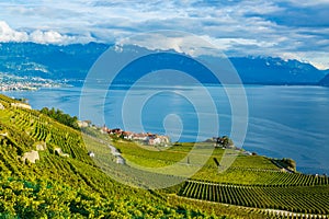 Lavaux, Switzerland: Lake Geneva and the Swiss Alps landscape seen from Lavaux vineyard tarraces in Canton of Vaud