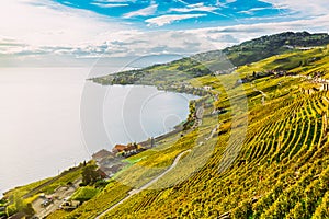 Lavaux, Switzerland: Lake Geneva and the Swiss Alps landscape seen from Lavaux vineyard tarraces in Canton of Vaud