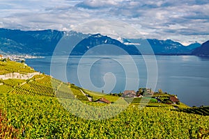 Lavaux, Switzerland: Lake Geneva and the Swiss Alps landscape seen from Lavaux vineyard tarraces in Canton of Vaud