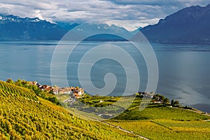 Lavaux, Switzerland: Lake Geneva and the Swiss Alps landscape seen from Lavaux vineyard tarraces in Canton of Vaud