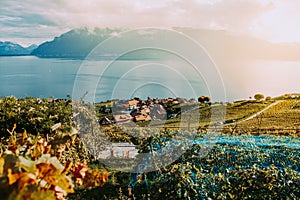 Lavaux, Switzerland: Little town, Lake Geneva and the Swiss Alps landscape seen from Lavaux vineyard tarraces in Canton