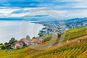 Lavaux vineyards