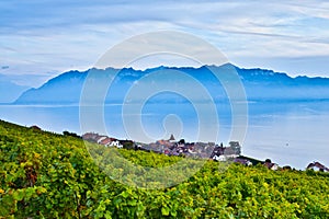 Lavaux Vineyards and Chablais Alps