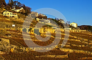 Lavaux vineyards, Switzerland