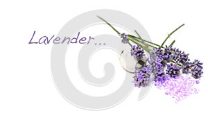 Lavanda 