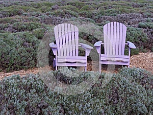 Lavender Adirondack Chairs