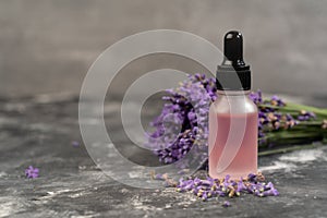 Lavender aromatherapy. Lavender bouquet on gray background and essential oil bottle. Spa and skin care product.