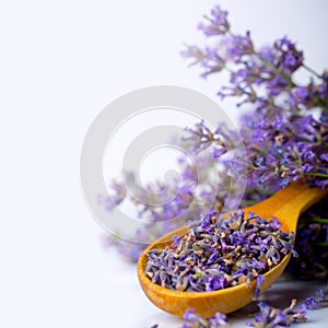 Lavender aromatherapy for spa salons