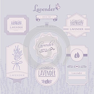 Lavender background, product label packaging design