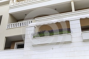 Lavender on the balcony.