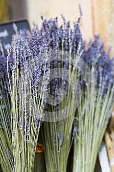 Lavender in basket