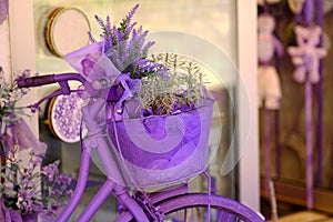 Lavender bicycle and flowers