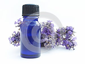 Lavender Bottle